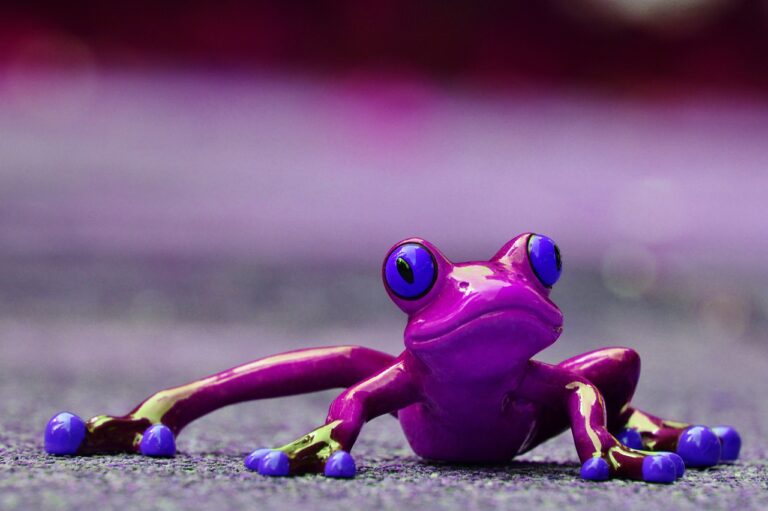 purple frog